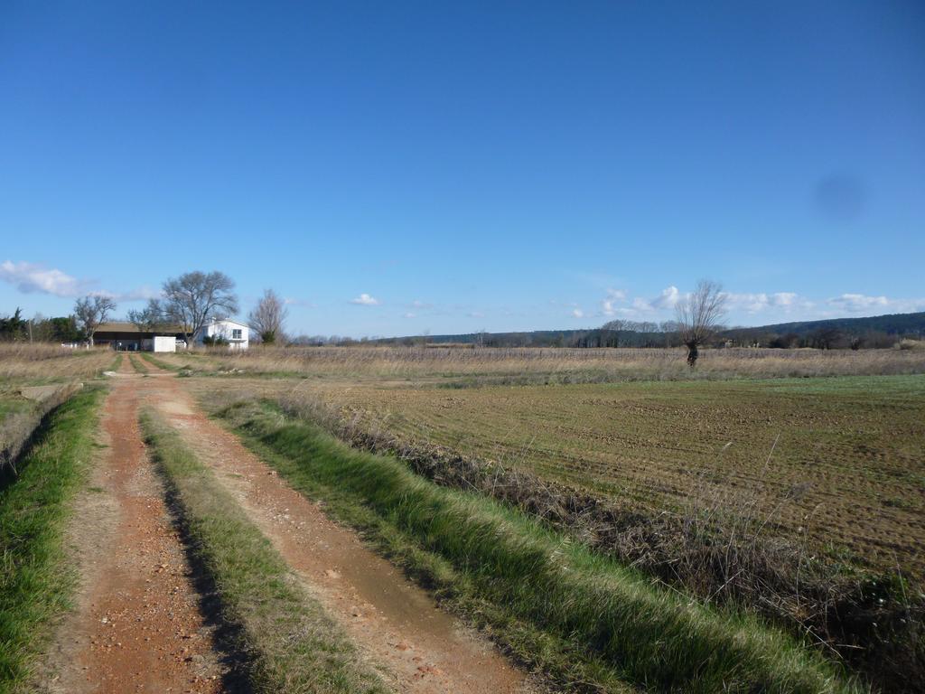 Вилла Domaine Limouzy Нарбонна Номер фото