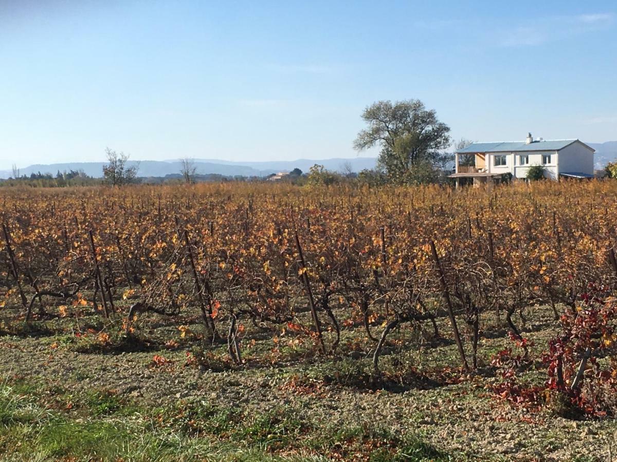 Вилла Domaine Limouzy Нарбонна Экстерьер фото